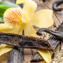 Vanilla